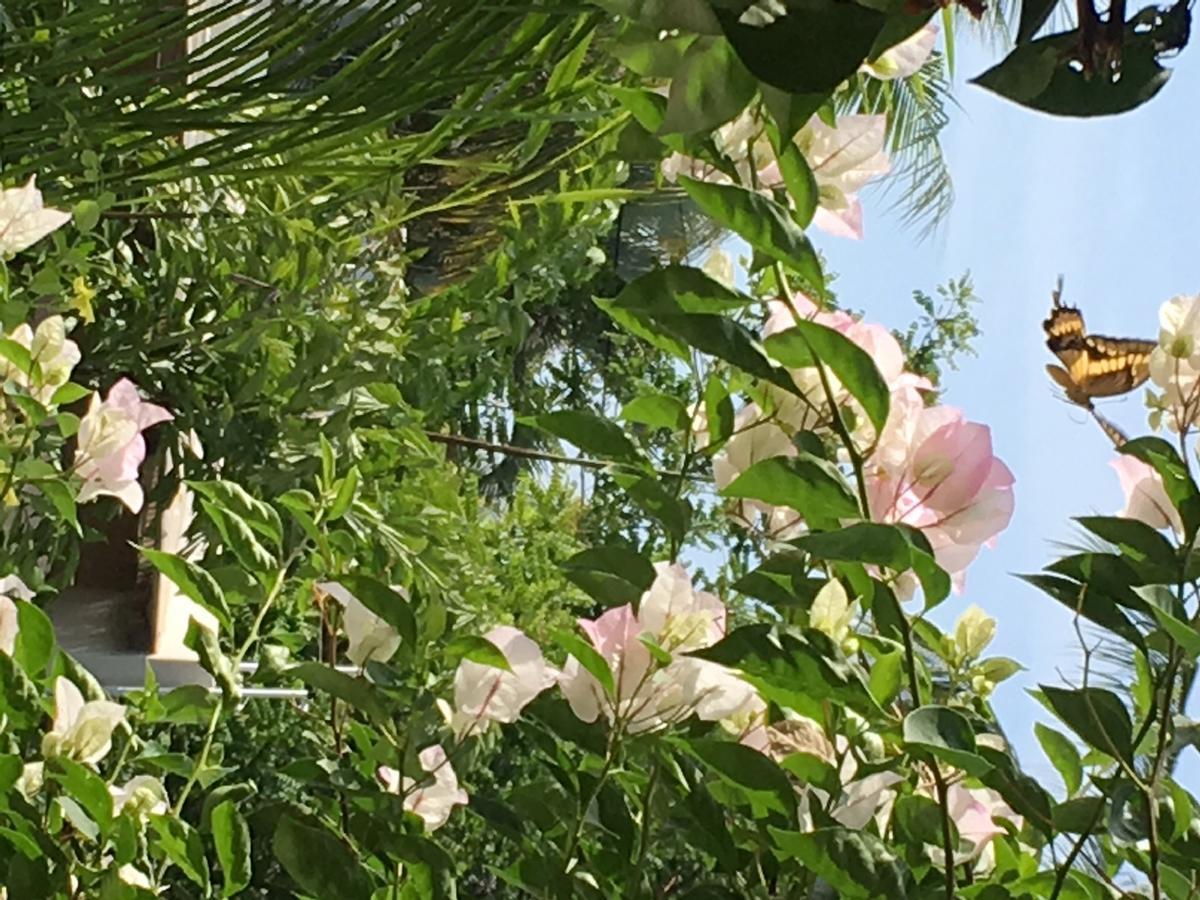 Villa Maria Bed And Breakfast Puerto Escondido  Luaran gambar
